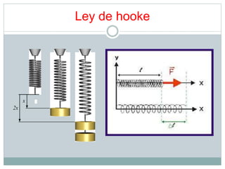 Ley de hooke 
