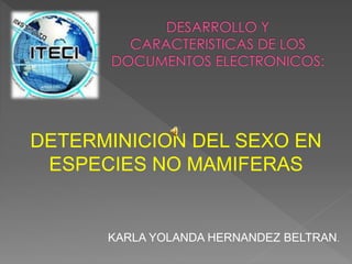 DETERMINICION DEL SEXO EN
ESPECIES NO MAMIFERAS
KARLA YOLANDA HERNANDEZ BELTRAN.
 