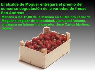 El alcalde de Moguer entregará el premio del concurso degustación de la variedad de fresas San Andreas. Mañana a las 12,00 de la mañana en el Recinto Ferial de Moguer el regidor de la localidad, Juan José Volante, entregará un Iphone 4 al ganador, José Carlos Martínez Gómez 