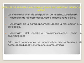 Es la penúltima porción del tubo digestivo, formada por el ciego, el colon, el recto y el canal anal. 