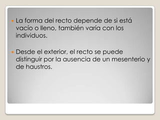 El intestino grueso toma el alimento digerido (quimo) proveniente desde el intestino delgado y termina el proceso de absorción.