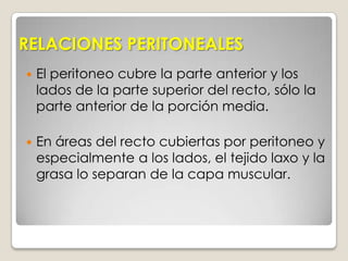 Por lo tanto, la función principal del intestino grueso en el sistema digestivo es la concentración y almacenamiento de los desechos sólidos, convirtiendo el quimo en heces para ser excretadas. 