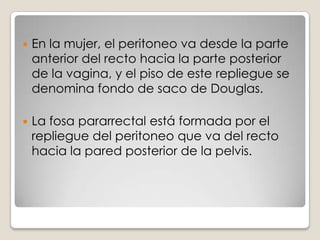 Al no ser defecadas las heces, cuando es necesario, el colon continua absorbiendo agua, volviéndolas duras y causando estreñimiento.