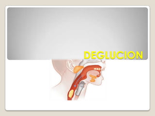 ES DISTENSIBLE Y PUEDE ADAPTARSE A CASI CUALQUIER COSA QUE PUEDA SER TRAGADA.EL ESÒFAGO ESTA FORMADO POR:MUCOSA: FORMADA POR VARIAS CAPAS DE CELULAS, QUE RECUBRE AL ESÒFAGO EN SU PARTE INTERNA. ESTA MUCOSA SE RENUEVA CONTINUAMENTE POR LA FORMACION DE NUEVAS CELULAS.CAPA MUSCULAR: ESTA FORMADA POR MUSCULO LISO POR DEBAJO Y MUSCULO ESTRIADO POR ENCIMA, QUE CUANDO SE CONTRAEN FORMAN ONDAS PERISTÀLTICAS QUE CONDUCEN EL BOLO ALIMENTICIO AL ESTOMAGO.