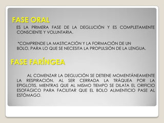 DEGLUCIÓN ES EL PASO DEL ALIMENTO DESDE LA BOCA AL ESTÓMAGO MEDIANTE UN ACTO CONTINUO, INTEGRADO Y COMPLETO EN EL QUE INTERVIENEN LOS MÚSCULOS LISOS Y ESTRIADOS.