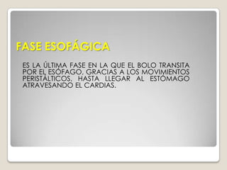 ACTO VOLUNTARIOLA LENGUA ACTÚA SOBRE EL ALIMENTO "EMPUJÁNDOLO" HACIA LA FARINGE, YA ENSALIVADO PARA PASAR DE FORMA MÁS FÁCIL. ASÍ, LA SALIVA, CUMPLE SU FUNCIÓN DE LUBRICACIÓN Y FORMACIÓN DEL BOLO ALIMENTICIO.ACTO INVOLUNTARIOCORRESPONDE AL CONJUNTO DE MOVIMIENTOS PERISTÁLTICOS QUE IMPULSAN AL BOLO ALIMENTICIO PARA QUE ÉSTE PUEDA PASAR A LA GARGANTA Y LUEGO AL ESÓFAGO Y PUEDAN SEGUIR LOS PROCESOS DIGESTIVOS.