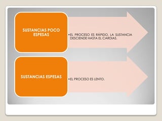 EN ESTA FASE PREVIA SE FORMA EL BOLO ALIMENTICIO CON AYUDA DE LA LENGUA. FASE ORALES LA PRIMERA FASE DE LA DEGLUCIÓN Y ES COMPLETAMENTE CONSCIENTE Y VOLUNTARIA.      *COMPRENDE LA MASTICACIÓN Y LA FORMACIÓN DE UN BOLO, PARA LO QUE SE NECESITA LA PROPULSIÓN DE LA LENGUA. FASE FARÍNGEAAL COMENZAR LA DEGLUCIÓN SE DETIENE MOMENTÁNEAMENTE LA RESPIRACIÓN, AL SER CERRADA LA TRÁQUEA POR LA EPIGLOTIS, MIENTRAS QUE AL MISMO TIEMPO SE DILATA EL ORIFICIO ESOFÁGICO PARA FACILITAR QUE EL BOLO ALIMENTICIO PASE AL ESTÓMAGO.