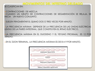 ÍLEONLA PORCIÓN FINAL DEL ÍLEON ES INERTE COMPARADA CON EL RESTO DE LOS DEL INTESTINO DELGADO. LA ENTRADA DE ALIMENTO EN EL ESTÓMAGO TIENDE A HACER QUE EL ÍLEON SE VACÍE EN EL CIEGO. (REFLEJO GASTROILEAL). EL MECANISMO DEL ESFÍNTER EN LA UNIÓN ÍLEOCECAL, ESTA BAJO CONTROL NERVIOSO Y HORMONAL. EL ÍLEON CONFORMA LAS TRES QUINTAS PARTES DISTALES. DIAMENTRO 2 CM 