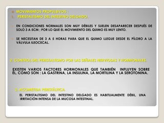 RELACIONES PERITONEALES DEL YEYUNO E ÍLEONEL YEYUNO Y EL ÍLEON ESTÁN SUSPENDIDOS DE LA PARED ABDOMINAL POSTERIOR POR EL MESENTERIO. 