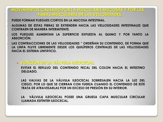 RIEGO SANGUÍNEO LA ARTERIA MESENTÉRICA SUPERIOR IRRIGA EL INTESTINO MEDIO (INTESTINO DELGADO) DESDE LA DESEMBOCADURA DEL CONDUCTO COLEDOCO EN EL DUODENO Y EL INTESTINO GRUESO HASTA CERCA DE LA CURVATURA CÓLICA IZQUIERDA.EN LA PARED DEL INTESTINO, LOS VASOS FORMAN UNA RED ANASTOMOTICA DE VASOS PEQUEÑOS.DRENAJE LINFÁTICOEL DRENAJE DE LA MUCOSA SE REALIZA EN LOS VASOS LINFÁTICOS QUE ACOMPAÑAN A LOS VASOS SANGUÍNEOS.
