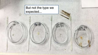 We
found
Crystals!
But not the type we
expected...
 