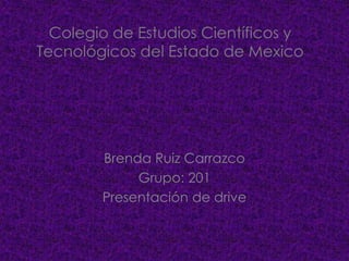 Colegio de Estudios Científicos y
Tecnológicos del Estado de Mexico
Brenda Ruiz Carrazco
Grupo: 201
Presentación de drive
 