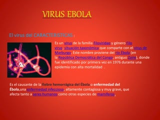 Presentacion de ebola