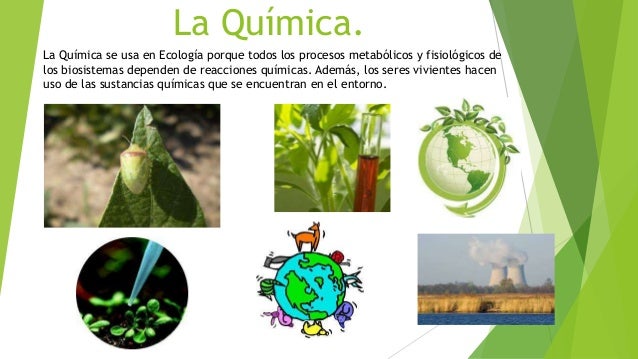 Presentacion de ecologia