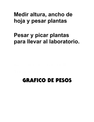 Medir altura, ancho de
hoja y pesar plantas
Pesar y picar plantas
para llevar al laboratorio.
Resultados
Grafico Crecimiento Por
Tratamiento
GRAFICO DE PESOS
 