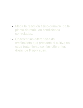 • Medir la reacción físico-química de la
planta de maíz, en condiciones
controladas.
• Observar las diferencias de
crecimiento que presento el cultivo en
cada tratamiento con las diferentes
dosis de P aplicadas.
Algunos conceptos
 