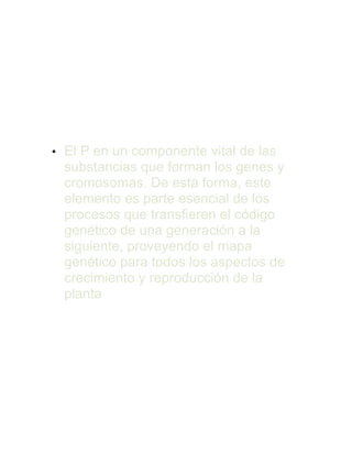 Transferencia
genética
• El P en un componente vital de las
substancias que forman los genes y
cromosomas. De esta forma, este
elemento es parte esencial de los
procesos que transfieren el código
genético de una generación a la
siguiente, proveyendo el mapa
genético para todos los aspectos de
crecimiento y reproducción de la
planta
Deficiencia de fósforo
 