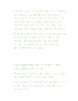 • El adecuado suplemento de P permite
que los procesos descritos arriba
operen en condiciones óptimas y que
el crecimiento y reproducción de la
planta procedan a paso normal. El
efecto más acentuado de la falta de ç
• P es la reducción en el crecimiento de
la hoja así como en el número de
hojas . El crecimiento de la parte
superior es más afectado que el
crecimiento de la raíz.
Síntoma de la
Deficiencia
• La deficiencia de P presenta los
siguientes síntomas:
• Presenta clorosis primero en las hojas
adultas debido a su movilidad
• Las plantas presentan enanismo y un
color verde intenso. Puntas de hoja
necróticas.
 