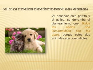 CRITICA DEL PRINCIPIO DE INDUCCIÓN PARA DEDUCIR LEYES UNIVERSALES
Al observar este perrito y
el gatico, se derrumba el
planteamiento que, Todos
los perros son
incompatibles con los
gatos, porque estos dos
animales son compatibles.
 