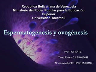 {
Republica Bolivariana de Venezuela
Ministerio del Poder Popular para la Educación
Superior
Universidad Yacambú
PARTICIPANTE:
Yinett Rivero C.I: 25.016699
N° de expediente: HPS-181-00116
 