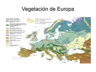Vegetación de Europa 