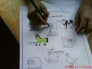 Presentacion de evidencias de los niños