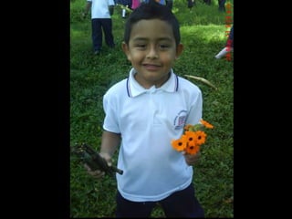 Presentacion de evidencias de los niños