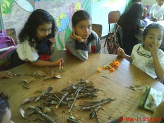 Presentacion de evidencias de los niños