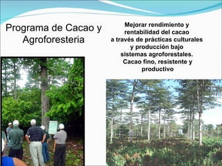 Fundación Hondureña de Investigación Agrícola 