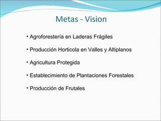 Fundación Hondureña de Investigación Agrícola 