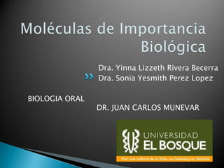 Moléculas de Importancia Biológica Dra. Yinna Lizzeth Rivera Becerra Dra. Sonia Yesmith Perez Lopez BIOLOGIA ORAL                              DR. JUAN CARLOS MUNEVAR 