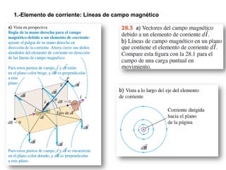 1.-Elemento de corriente: Líneas de campo magnético
 