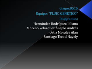 Grupo:0515
     Equipo: “FLUJO GENETICO”
                     Integrantes:
   Hernández Rodríguez Liliana
Moreno Velázquez Ángelo Andrés
              Ortiz Morales Alan
          Santiago Tecotl Nayely
 