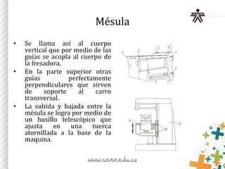 Mésula
• Se llama así al cuerpo
vertical que por medio de las
guías se acopla al cuerpo de
la fresadora.
• En la parte superior otras
guías perfectamente
perpendiculares que sirven
de soporte al carro
transversal.
• La subida y bajada entre la
mésula se logra por medio de
un husillo telescópico que
ajusta en una tuerca
atornillada a la base de la
maquina.
 