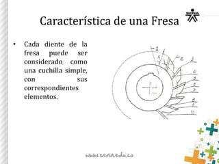 Característica de una Fresa
• Cada diente de la
fresa puede ser
considerado como
una cuchilla simple,
con sus
correspondientes
elementos.
 