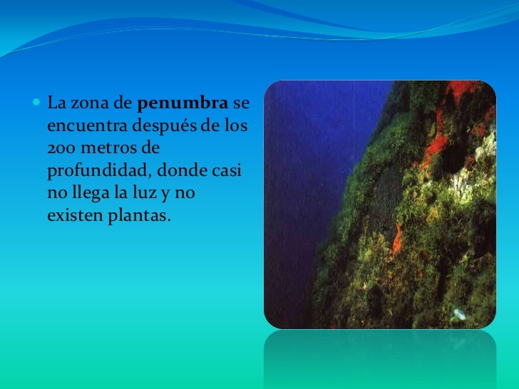 Presentacion de geografia