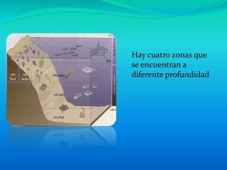  Hay cuatro zonas que
se encuentran a
diferente profundidad
 