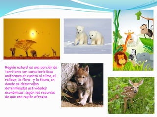 Región natural es una porción de
territorio con características
uniformes en cuanto al clima, el
relieve, la flora y la fauna, en
donde se desarrollan
determinadas actividades
económicas, según los recursos
de que esa región ofrezca.
 