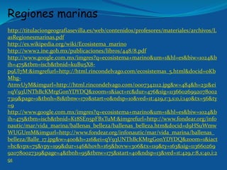 Regiones marinas
http://titulaciongeografiasevilla.es/web/contenidos/profesores/materiales/archivos/L
asRegionesmarinas.pdf
http://es.wikipedia.org/wiki/Ecosistema_marino
http://www2.ine.gob.mx/publicaciones/libros/448/8.pdf
http://www.google.com.mx/imgres?q=ecosistema+marino&um=1&hl=es&biw=1024&b
ih=475&tbm=isch&tbnid=kuBu5X8-
p9Ul7M:&imgrefurl=http://html.rincondelvago.com/ecosistemas_5.html&docid=oKb
Mhg-
AtmvUyM&imgurl=http://html.rincondelvago.com/0007342112.jpg&w=484&h=231&ei
=qV93UNThBcKMrgGonYDYDQ&zoom=1&iact=rc&dur=476&sig=11366026992078002
7319&page=1&tbnh=81&tbnw=170&start=0&ndsp=10&ved=1t:429,r:3,s:0,i:140&tx=56&ty
=9
http://www.google.com.mx/imgres?q=ecosistema+marino&um=1&hl=es&biw=1024&b
ih=475&tbm=isch&tbnid=Kt8SEn5pFBxTuM:&imgrefurl=http://www.fondear.org/info
nautic/mar/vida_marina/ballenas_belleza/ballenas_belleza.htm&docid=d9HSuWmw
WUGUmM&imgurl=http://www.fondear.org/infonautic/mar/vida_marina/ballenas_
belleza/Balle_17.jpg&w=400&h=216&ei=qV93UNThBcKMrgGonYDYDQ&zoom=1&iact
=hc&vpx=75&vpy=199&dur=146&hovh=165&hovw=306&tx=119&ty=163&sig=113660269
920780027319&page=4&tbnh=95&tbnw=175&start=40&ndsp=13&ved=1t:429,r:8,s:40,i:2
91
 