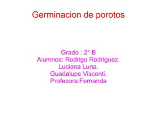 Germinacion de porotos 
Grado : 2° B 
Alumnos: Rodrigo Rodriguez. 
Luciana Luna. 
Guadalupe Visconti. 
Profesora:Fernanda 
 