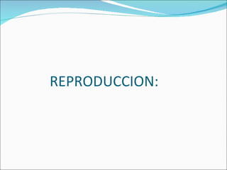 REPRODUCCION: 