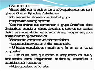 GNETOFITOS Esta división comprende en torno a 70 especies (comprende 3 géneros: Gnetum, Ephedra y Welwitschia) Por sus características es considerado el grupo más próximo a la angiospermas. Los tres órdenes que comprenden el grupo Gnetofitos, clase Gnetópsidos, excepto un género de cada uno de ellos, son plantas distintivas sin una relación estrecha con otras gimnospermas y poca similitud morfológica entre ellos.  No obstante, comparten varias características:  - La presencia de vasos en el xilema secundario. - Unidades reproductoras masculinas y femeninas en conos compuestos. -  Estructuras extra que rodean al integumento del óvulo, consideradas como integumentos adicionales, esporofilos o bractéolas según los autores. - Hojas opuestas o verticiladas. 