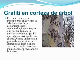 Grafiti en corteza de árbolFrecuentemente, las inscripciones en cortezas de árboles se asocian a declaraciones de enamorados, ideologías, aunque pueden transmitir muchos otros mensajes. Es una práctica arriesgada para el árbol, ya que una incisión profunda, o un anillo que abarque casi todo el ancho del tronco puede dañarlo e incluso acabar provocándole la muerte. 