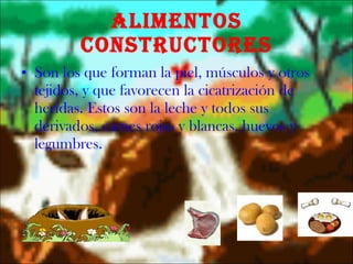 Alimentos Constructores Son los que forman la piel, músculos y otros tejidos, y que favorecen la cicatrización de heridas. Estos son la leche y todos sus derivados, carnes rojas y blancas, huevos y legumbres. 