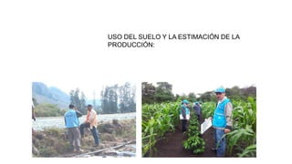 Guatemala: Encuestas Nacional Agropecuaria y su vision al futuro Slide 29