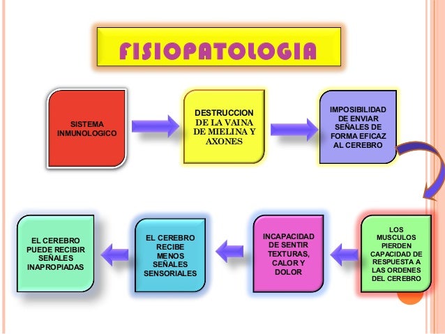 Presentacion De Guillian Barre