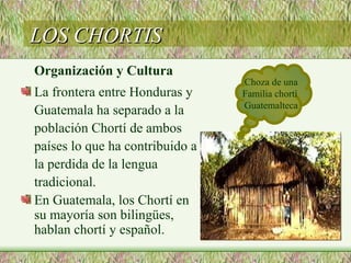 ETNIAS PECH Y CHORTIS DE HONDURAS