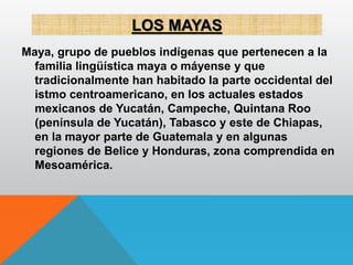LOS MAYAS
Maya, grupo de pueblos indígenas que pertenecen a la
familia lingüística maya o máyense y que
tradicionalmente han habitado la parte occidental del
istmo centroamericano, en los actuales estados
mexicanos de Yucatán, Campeche, Quintana Roo
(península de Yucatán), Tabasco y este de Chiapas,
en la mayor parte de Guatemala y en algunas
regiones de Belice y Honduras, zona comprendida en
Mesoamérica.
 
