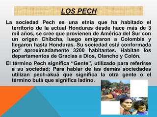 LOS PECH
La sociedad Pech es una etnia que ha habitado el
territorio de la actual Honduras desde hace más de 3
mil años, se cree que provienen de América del Sur con
un origen Chibcha, luego emigraron a Colombia y
llegaron hasta Honduras. Su sociedad está conformada
por aproximadamente 3200 habitantes. Habitan los
departamentos de Gracias a Dios, Olancho y Colón.
El término Pech significa “Gente”, utilizado para referirse
a su sociedad; Para hablar de las demás sociedades
utilizan pech-akuá que significa la otra gente o el
término bulá que significa ladino.
 