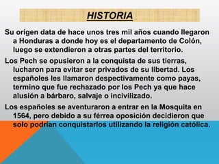 HISTORIA
Su origen data de hace unos tres mil años cuando llegaron
a Honduras a donde hoy es el departamento de Colón,
luego se extendieron a otras partes del territorio.
Los Pech se opusieron a la conquista de sus tierras,
lucharon para evitar ser privados de su libertad. Los
españoles les llamaron despectivamente como payas,
termino que fue rechazado por los Pech ya que hace
alusión a bárbaro, salvaje o incivilizado.
Los españoles se aventuraron a entrar en la Mosquita en
1564, pero debido a su férrea oposición decidieron que
solo podrían conquistarlos utilizando la religión católica.
 
